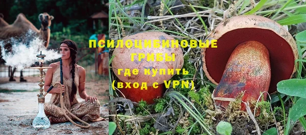трава Березники