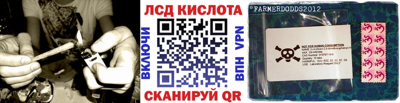дарк нет как зайти  Кимовск  Марки NBOMe 1,8мг 