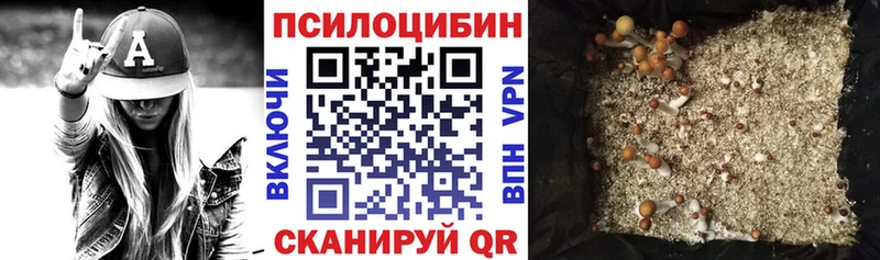 blacksprut маркетплейс  Кимовск  Псилоцибиновые грибы Psilocybine cubensis 