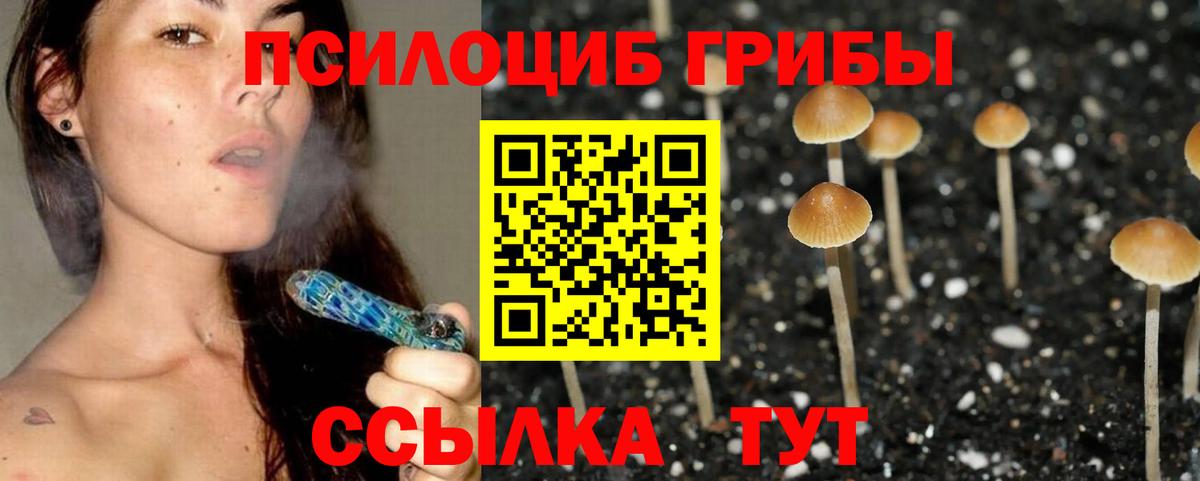 Псилоцибиновые грибы прущие грибы Кимовск