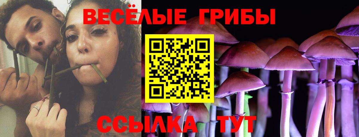 Псилоцибиновые грибы Magic Shrooms  где найти наркотики  Кимовск  Вход с VPN 