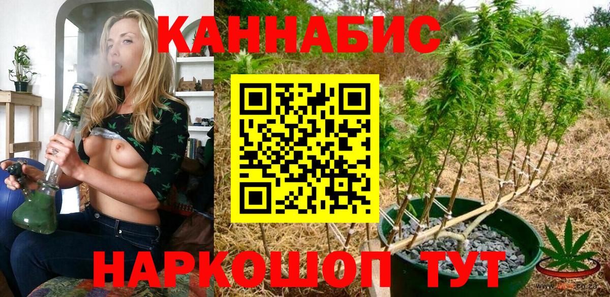 Конопля OG Kush Кимовск